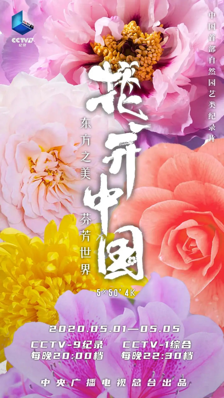 江湖菜馆 第四季