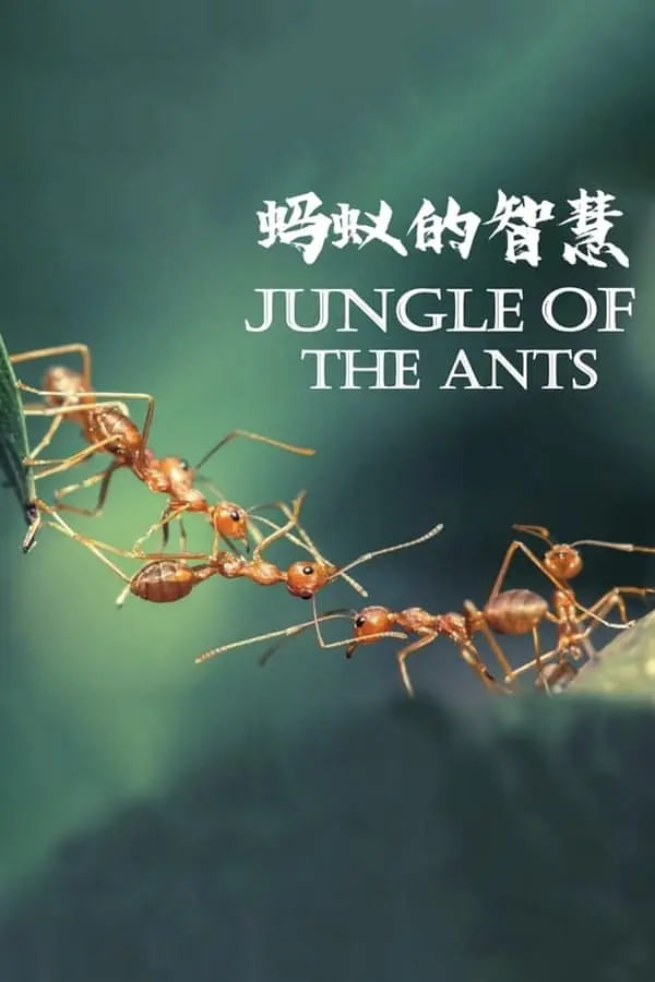 被遗忘的爱