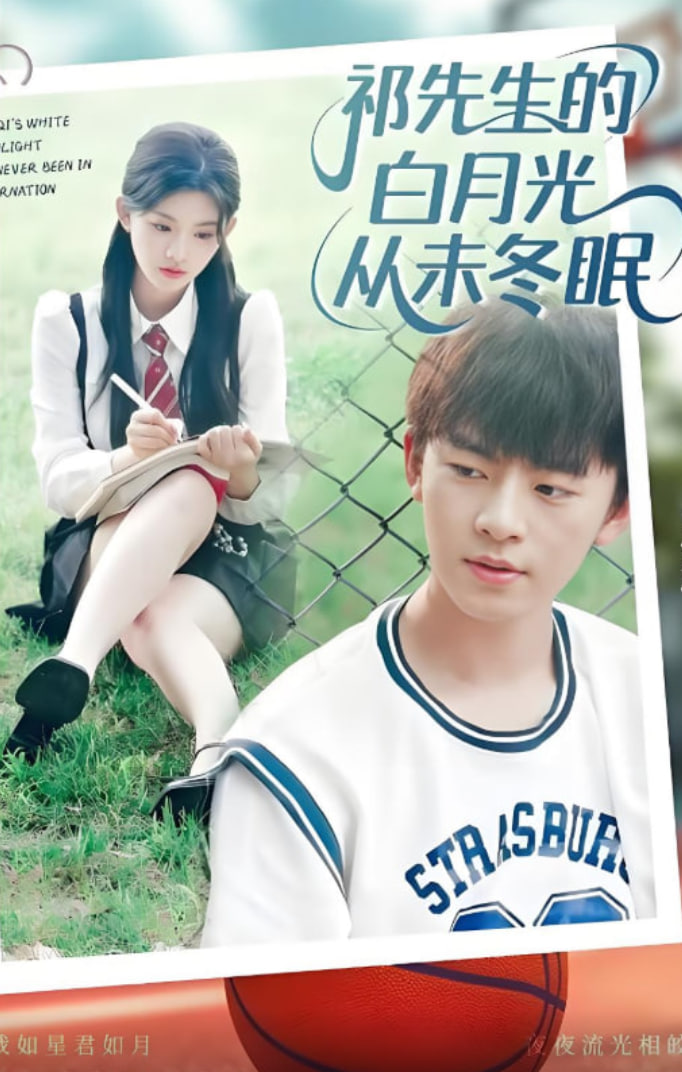 杨三姐告状
