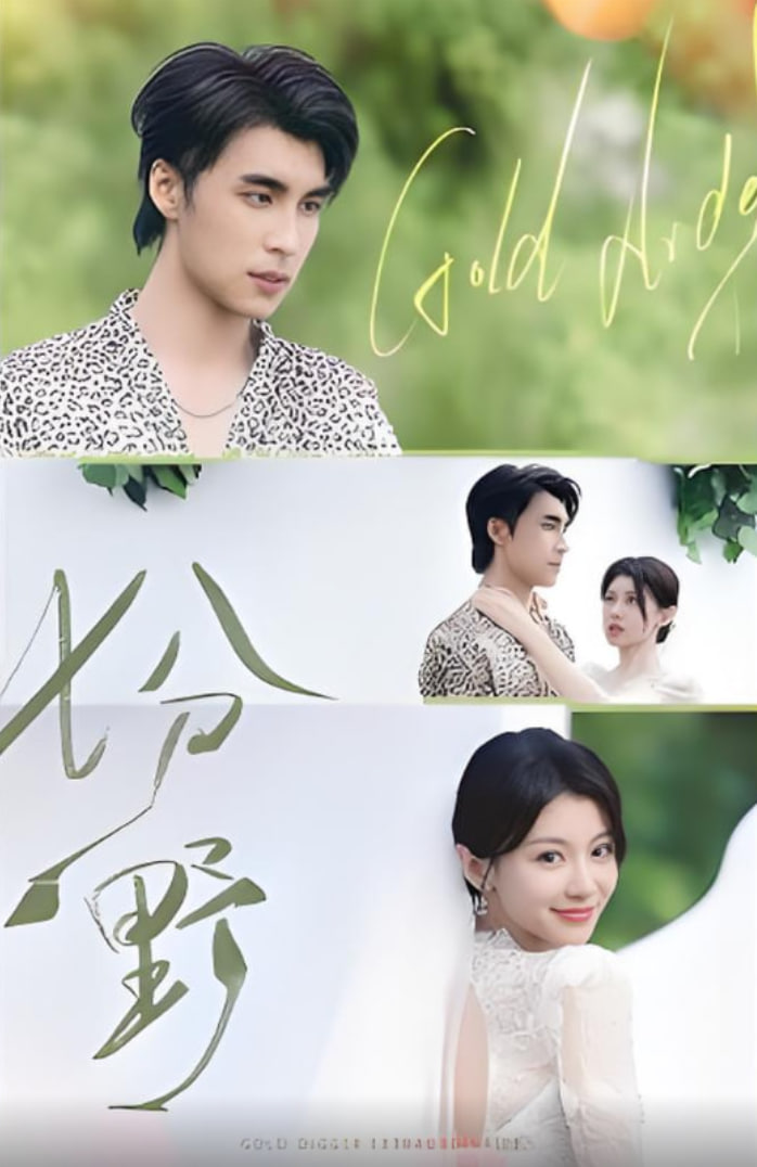 与你的九次相遇