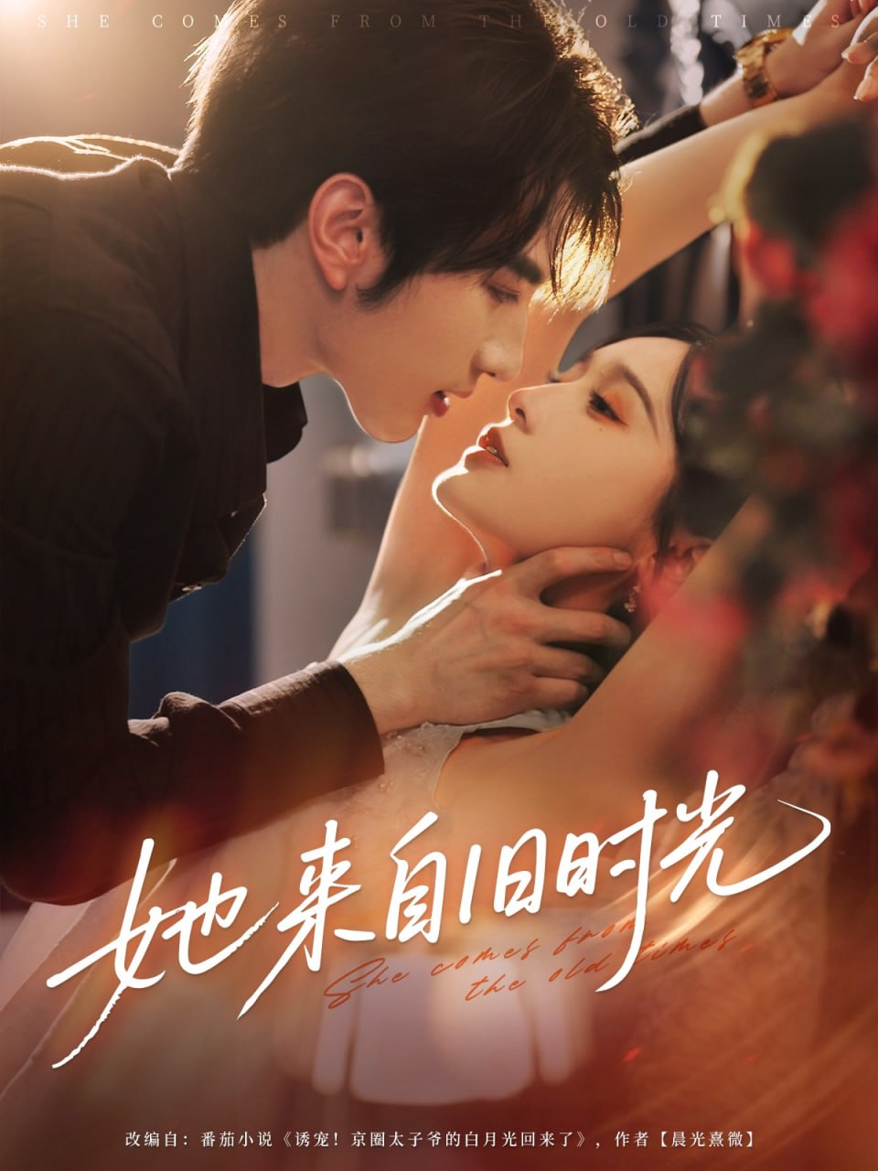 2019年春节联欢晚会