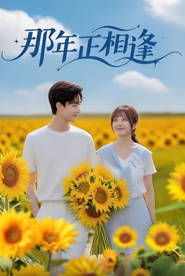 不是闹着玩的之欢乐喜剧村