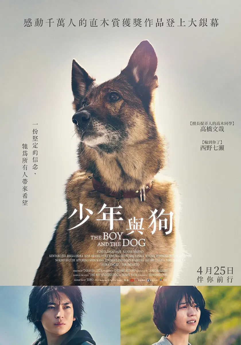 猫的报恩七次初吻