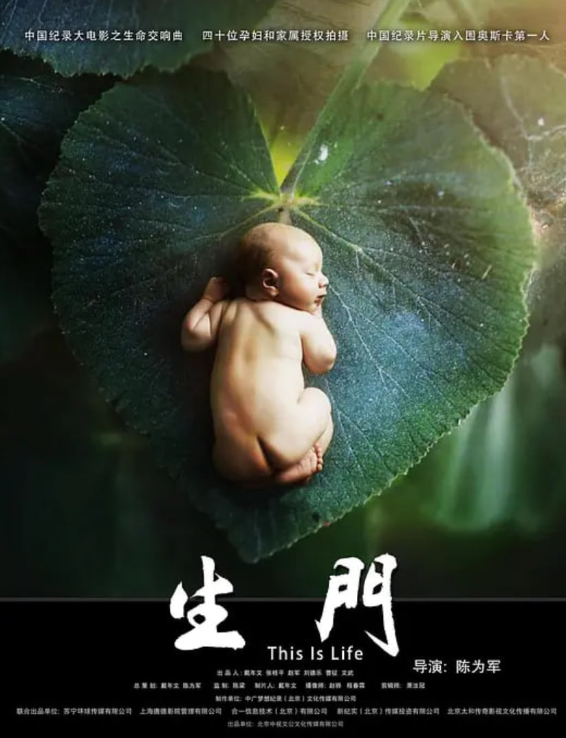 九霄-我为仙帝