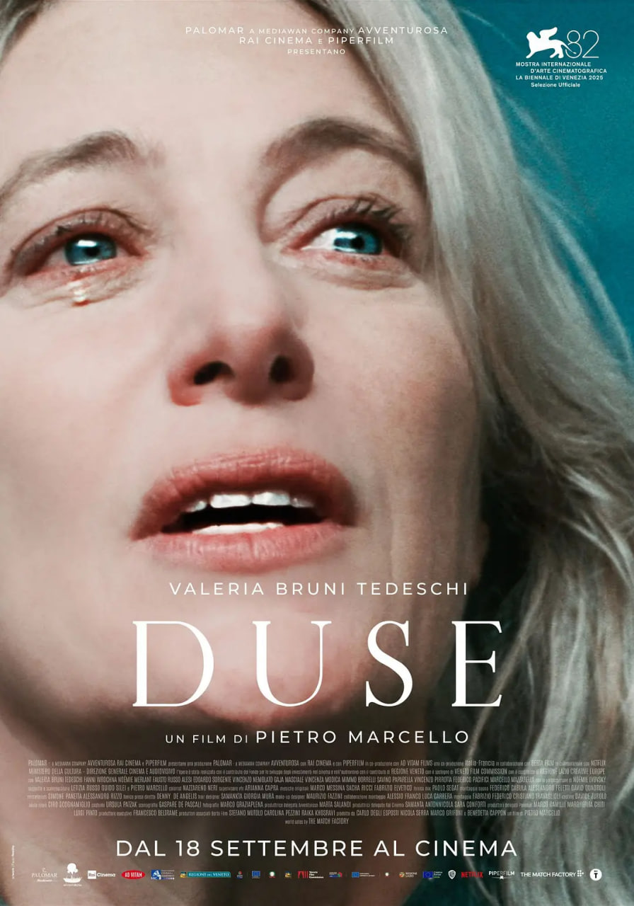 猫咪本喵
