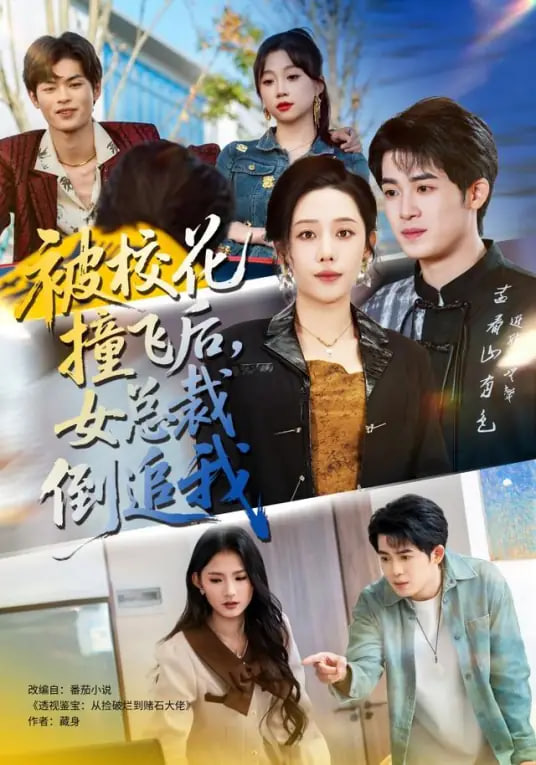 潜入兄妹 特殊诈欺特命搜查官
