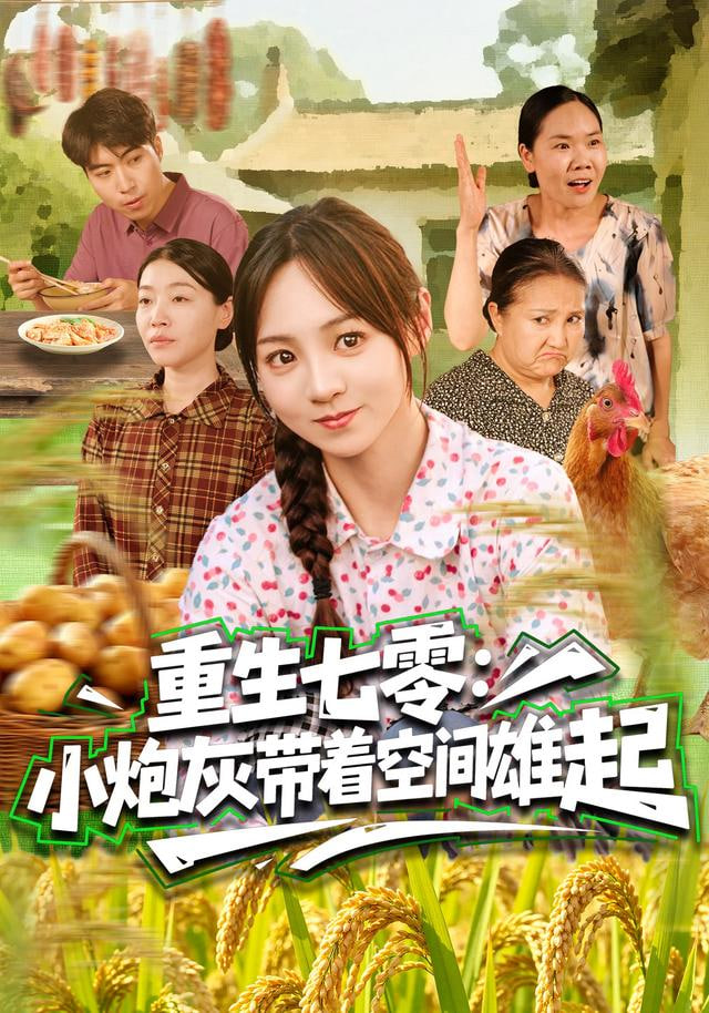 贞淑的推销
