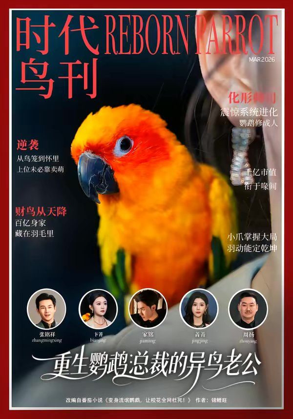 阿尔法男 第三季
