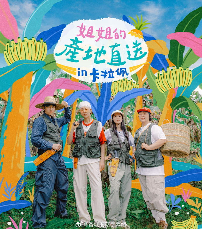 养猫的人