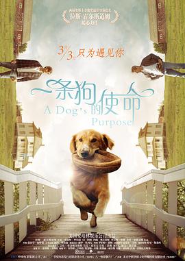 怪异天才