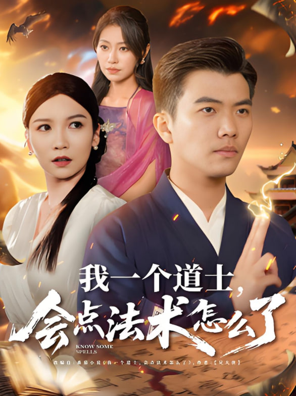 恨君不似江楼月